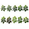 PLANTAS ARTIFICIALES COLGANTES PARA TERRARIO 35CM JFY-1989 PLANTAS ARTIFICIALES COLGANTES PARA TERRARIO 35CM