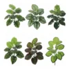 PLANTAS ARTIFICIALES COLGANTES PARA TERRARIO 35CM JFY-1989 -3 PLANTAS ARTIFICIALES COLGANTES PARA TERRARIO 35CM