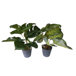PLANTA HOJAS TROPICALES CON MACETA JFY-2851