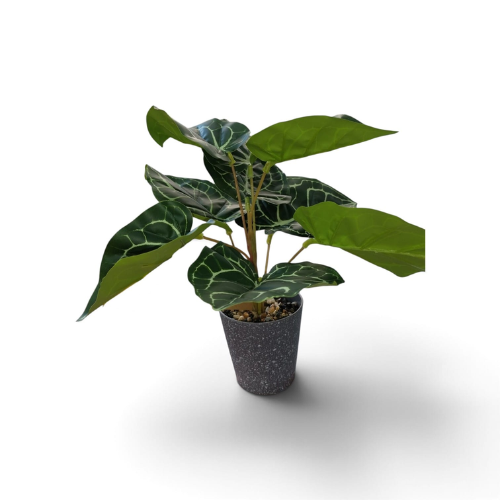 PLANTA HOJAS TROPICALES CON MACETA JFY-2851